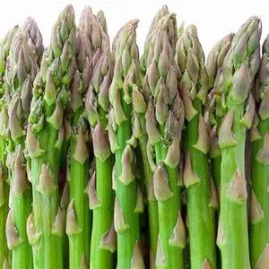UC-157 F2 Asparagus