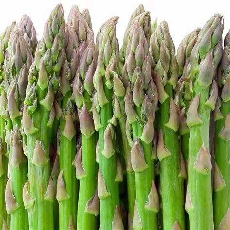 UC-157 F2 Asparagus
