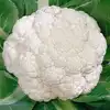 Snowball Y Improved Cauliflower