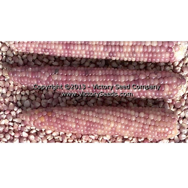 Glass Gem Popcorn