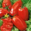 Martino's Roma Tomato