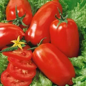 Martino's Roma Tomato
