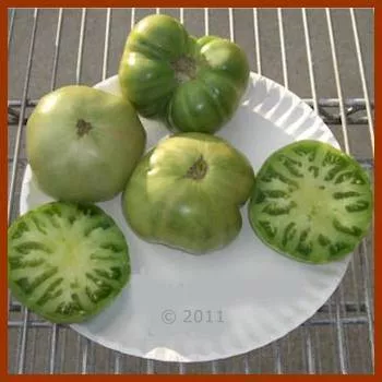 Dwarf Emerald Giant Tomato