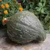 Hubbard, True Green Improved - Winter Squash