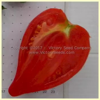 Cancelmo Family Heirloom Tomato