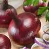 Red Burgundy Onion