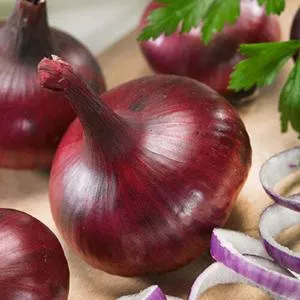 Red Burgundy Onion