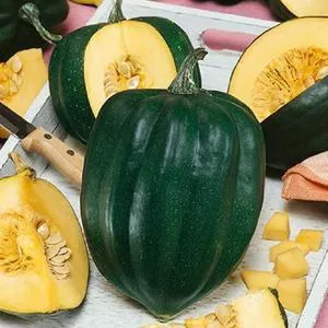 Winter Squash