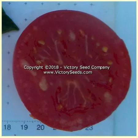 Clare Valley Red Tomato