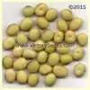Pando Soybean