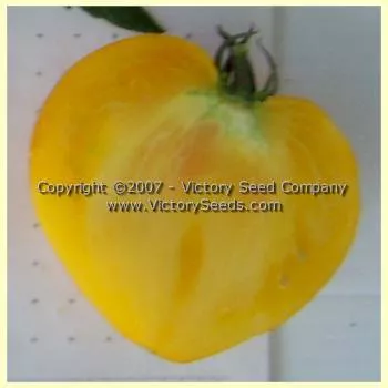 Anna Banana Russian Tomato