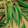 Perkins' Long Pod Okra