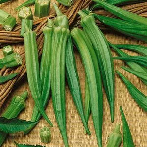 Perkins' Long Pod Okra