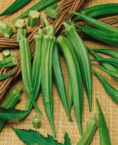 Perkins' Long Pod Okra