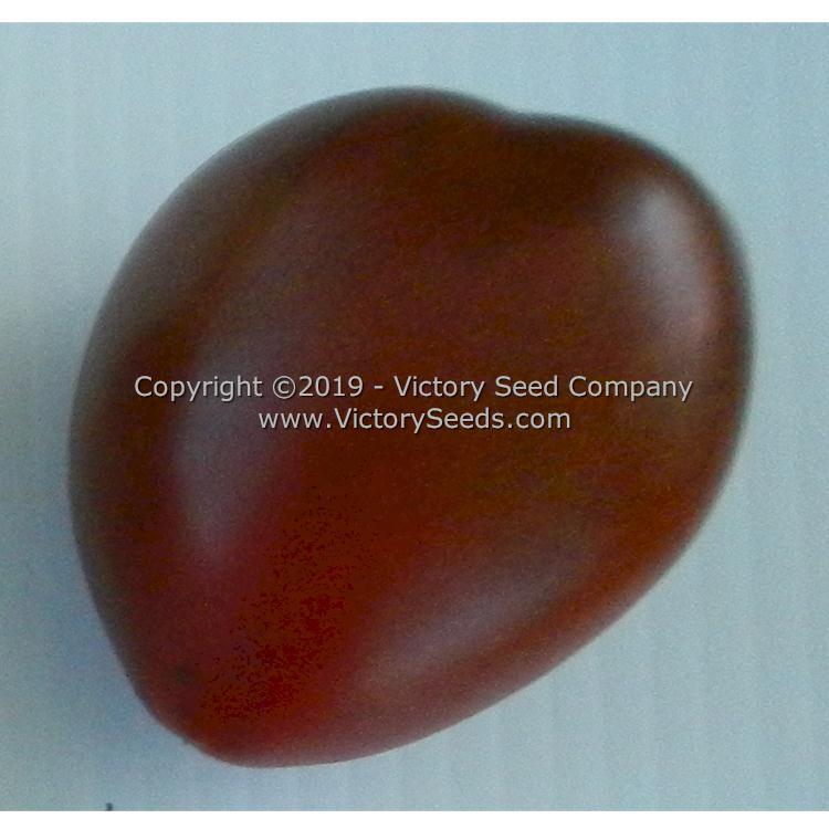 Aussie Drop Tomato