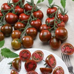 Gum Drop Black F1 Tomato