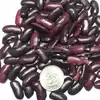 Large Purple Kidney (Norberg / Wanda) Bush Dry Garden Bean