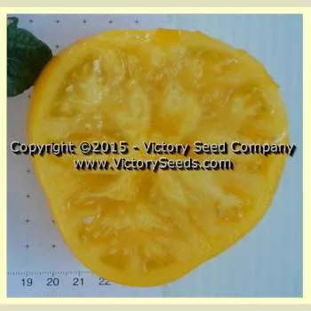 Banksia Queen Tomato