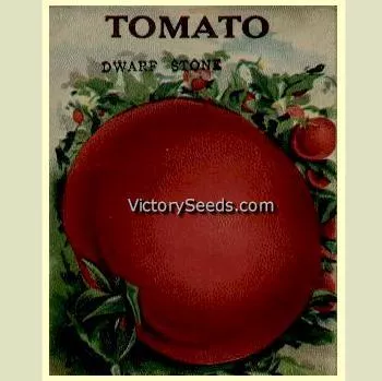 Livingston's Dwarf Stone Tomato