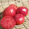 Brandywine, Pink - Tomato