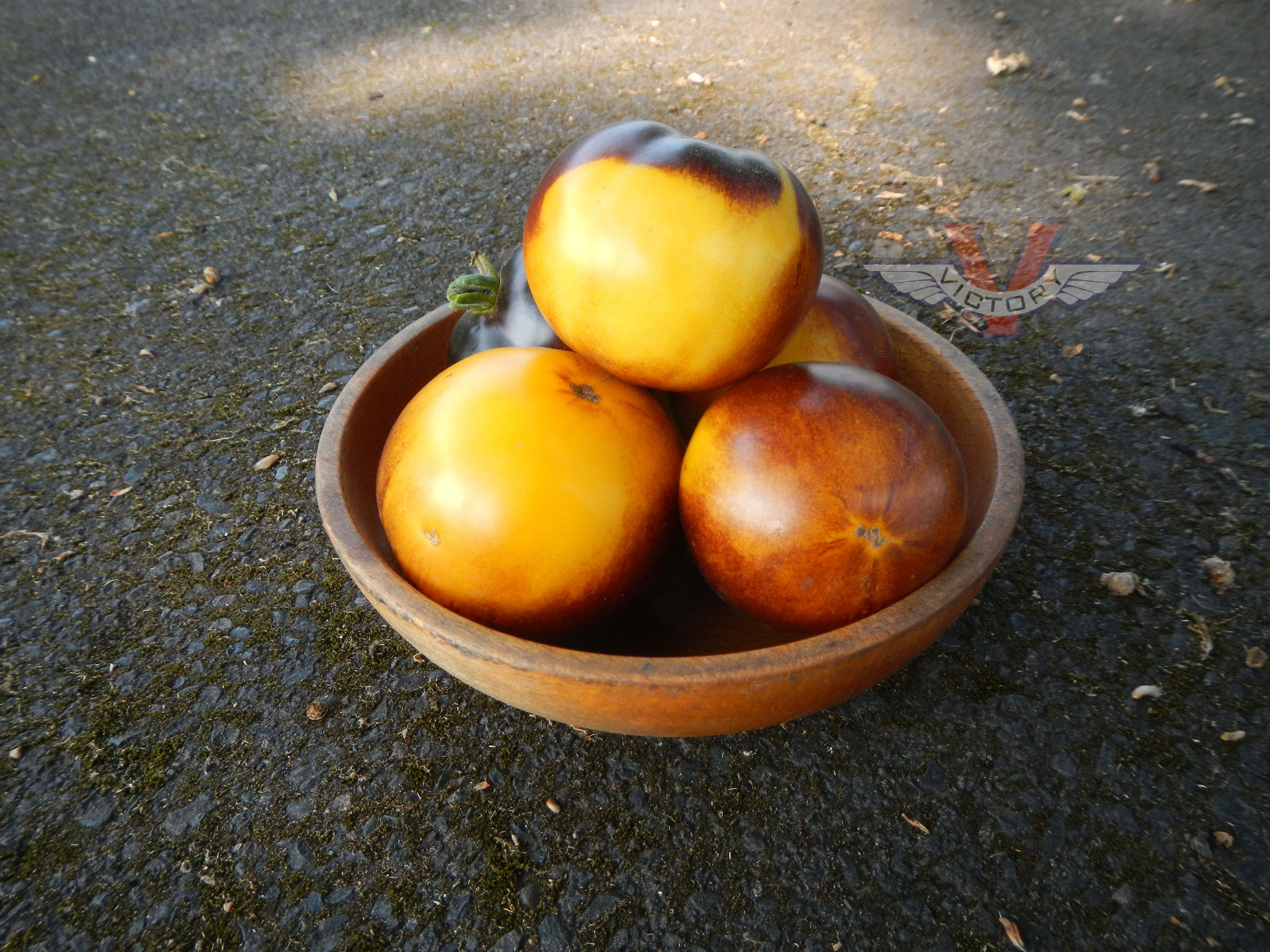 Gondwana Moon Tomato