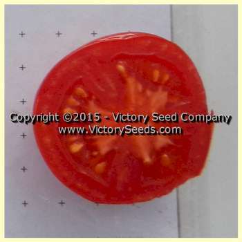 Al-Kuffa Tomato
