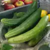 Garden Sweet Burpless F1 Cucumber
