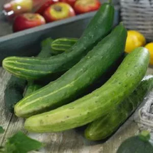 Garden Sweet Burpless F1 Cucumber