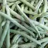 Topcrop (Top Crop) Bush Green Garden Bean