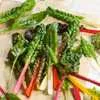 Rainbow Swiss Chard