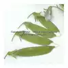 Dwarf Gray Sugar Pod Snap Pea
