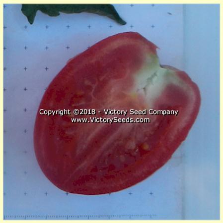 Dwarf Melanie's Ballet Tomato