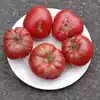 Rosella Purple Tomato