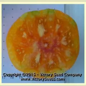 Wherokowhai Tomato