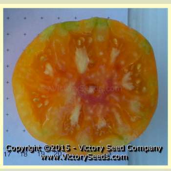 Wherokowhai Tomato