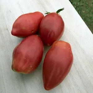 Sheboygan Tomato