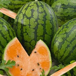 Orange Tendersweet Watermelon