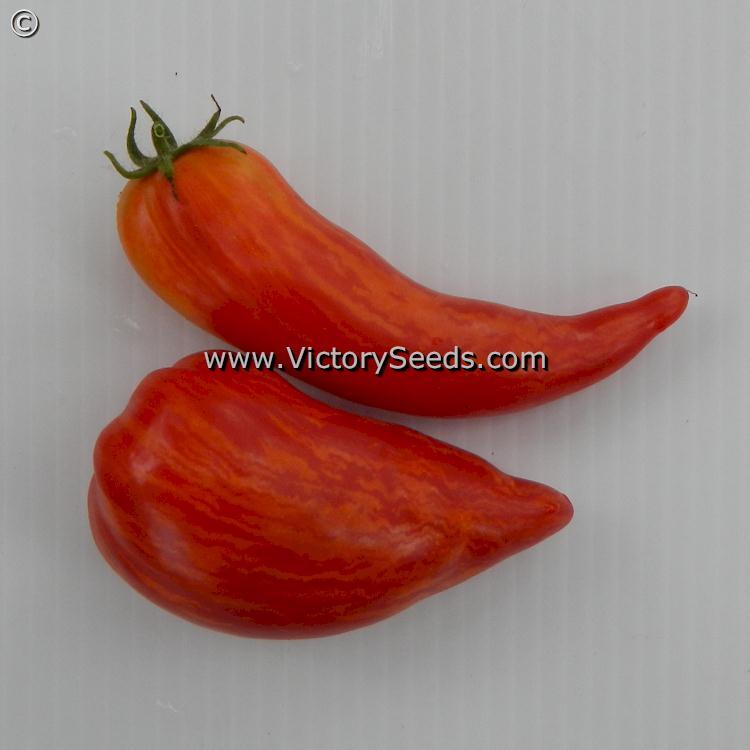 Dwarf Stony Brook Speckled Tomato
