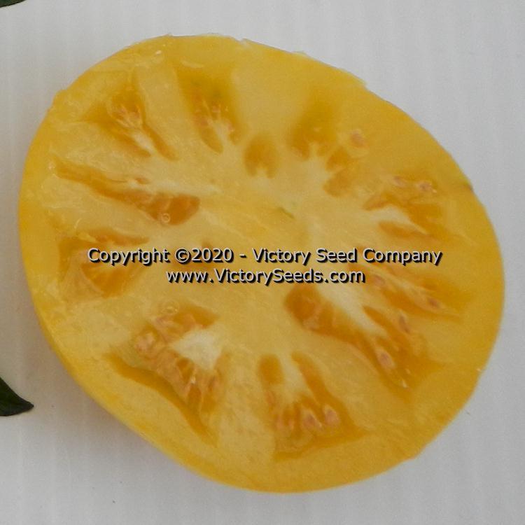 Dwarf Jasmine Yellow Tomato