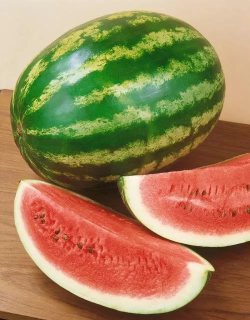 Crimson Sweet Watermelon