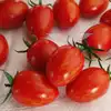 Red Torch F1 Tomato