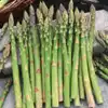 Mary Washington Asparagus