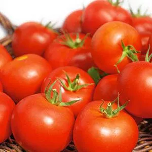 Thessaloniki Tomato