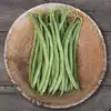 Jade Bush Green Garden Bean