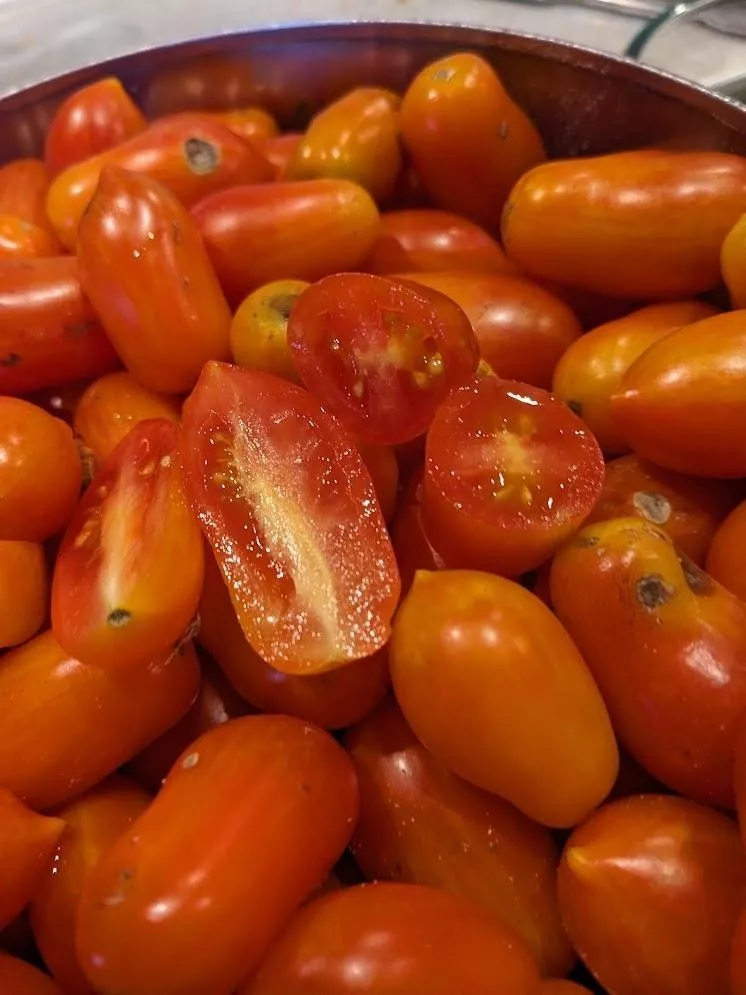 Laura #5 Tomato