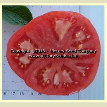 Mallee Rose Tomato