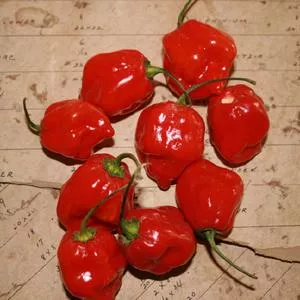 Habanero Red Hot Pepper
