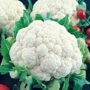 Snowball Self-Blanching Cauliflower