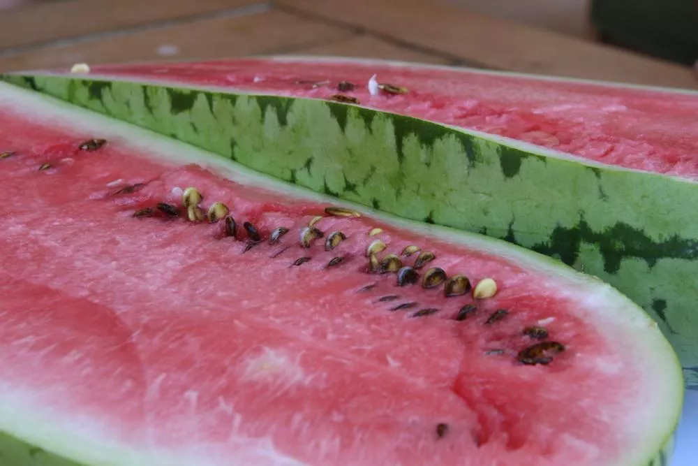 Georgia Rattlesnake Watermelon