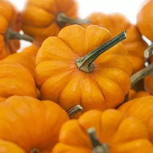 Jack Be Little Pumpkin